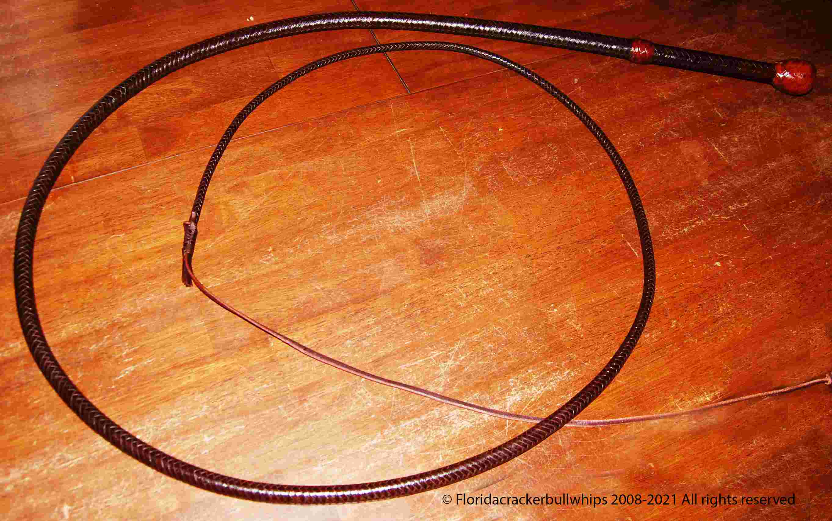 8 foot 12 Plait Kangaroo Bullwhip